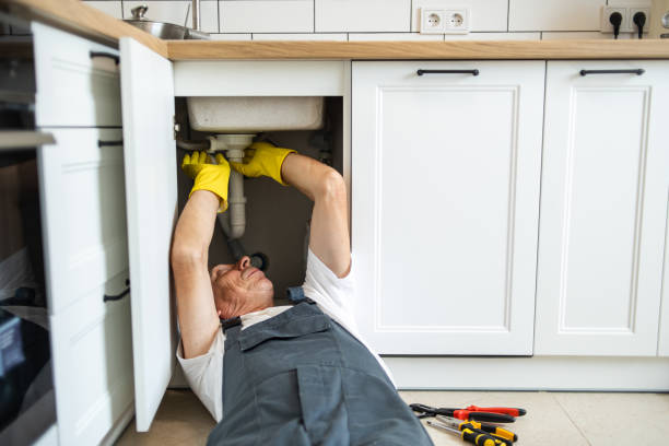 Best Water Softener Installation  in Menonee, MI